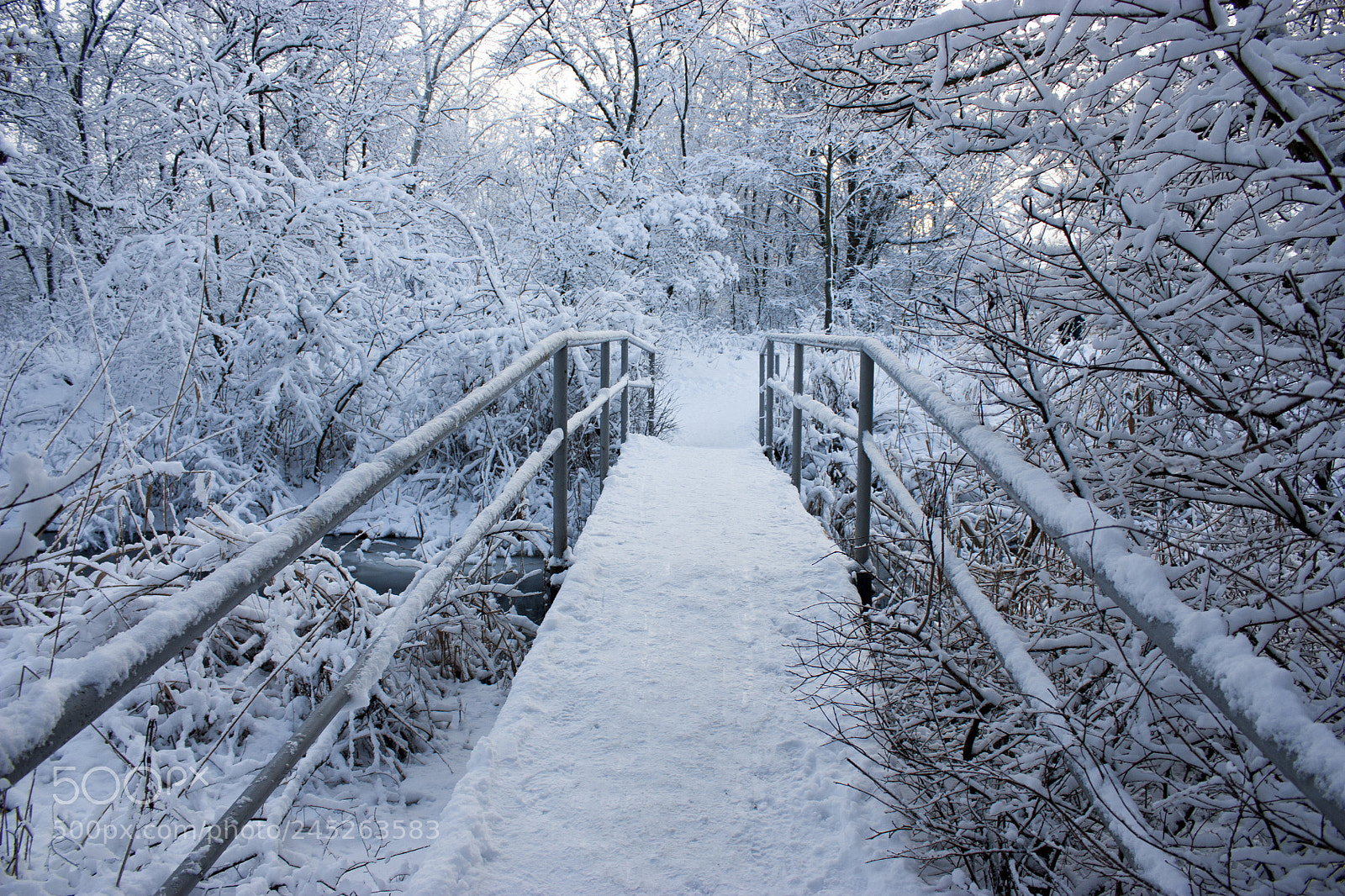 Canon EOS 450D (EOS Rebel XSi / EOS Kiss X2) sample photo. Beautiful bridge in the photography