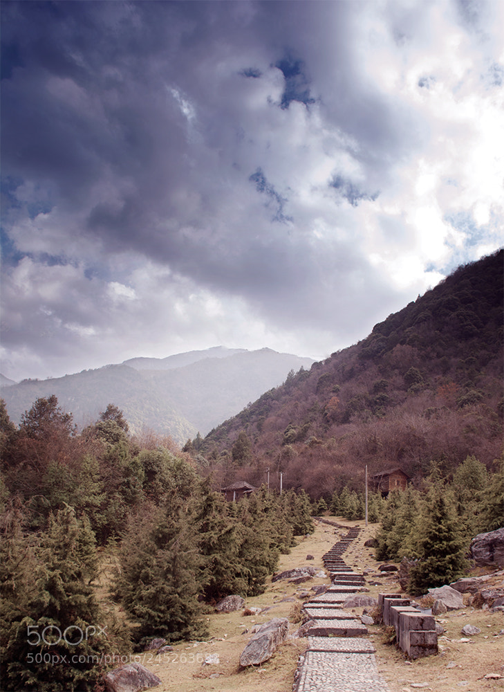 Nikon D7100 sample photo. Untitled photography