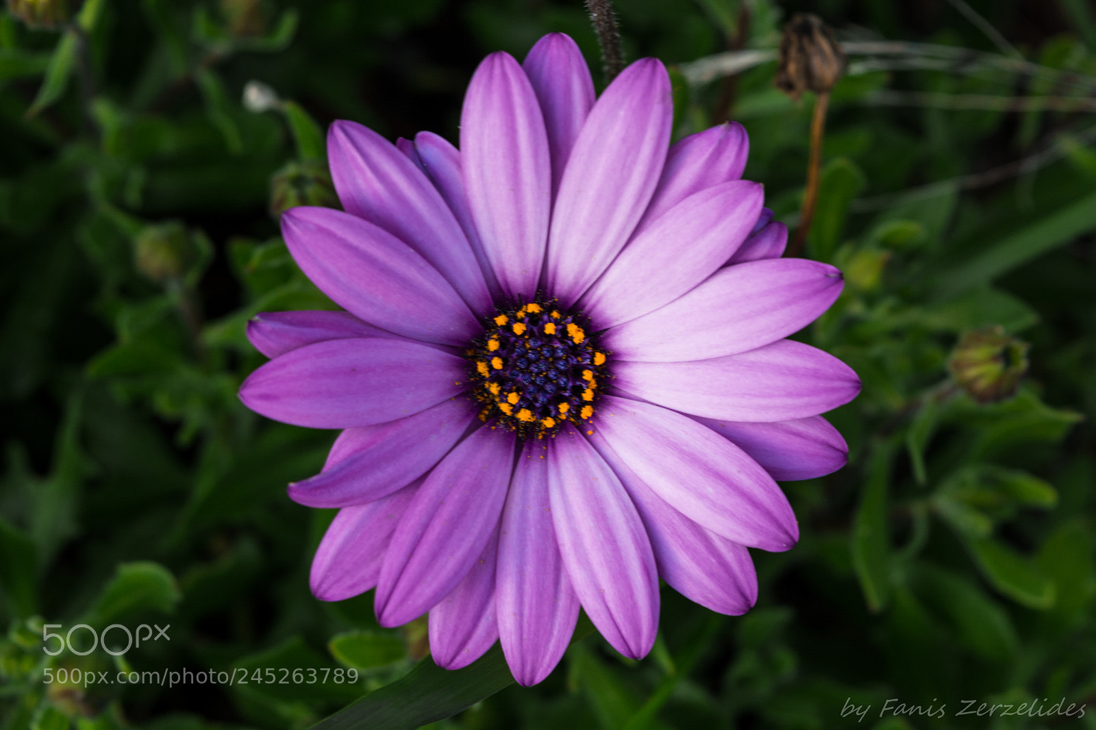 Nikon D5200 sample photo. Folded imperfection photography