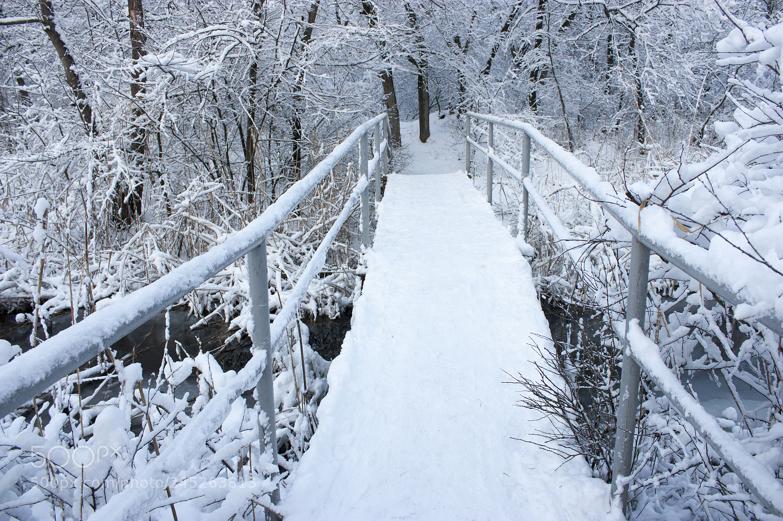 Canon EOS 450D (EOS Rebel XSi / EOS Kiss X2) sample photo. Beautiful bridge in the photography