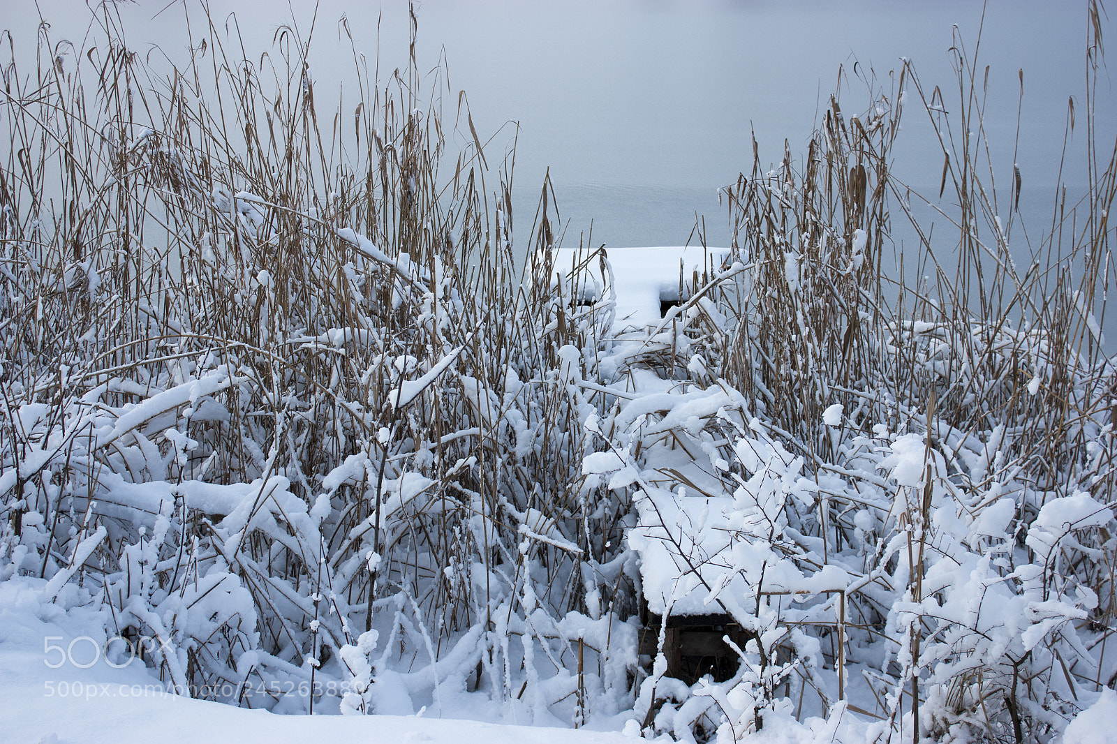 Canon EOS 450D (EOS Rebel XSi / EOS Kiss X2) sample photo. Winter fishing, a frozen photography