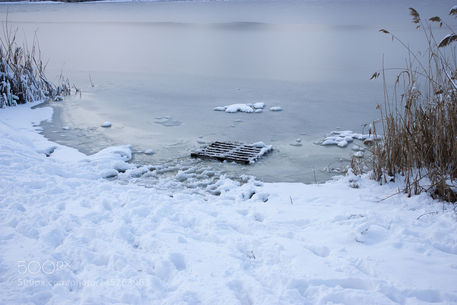 Canon EOS 450D (EOS Rebel XSi / EOS Kiss X2) sample photo. Winter fishing, a frozen photography