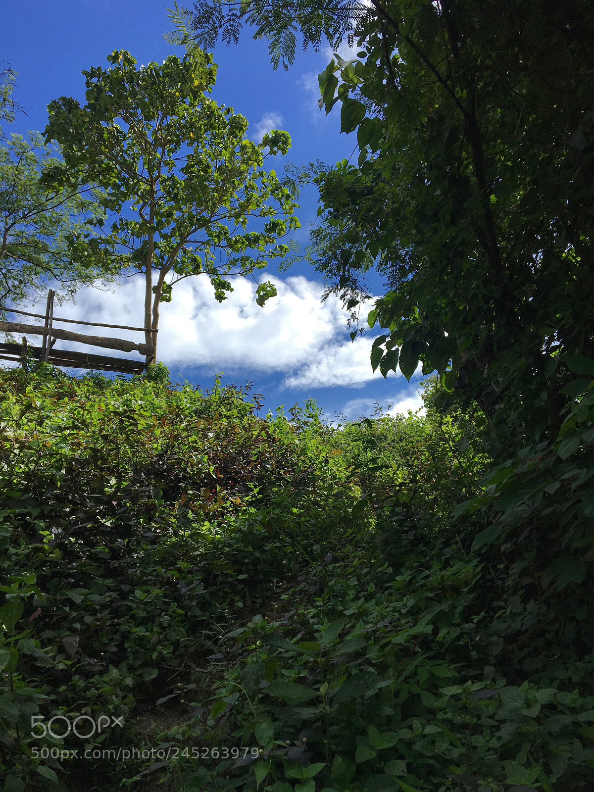 Apple iPhone 6s sample photo. Untitled photography