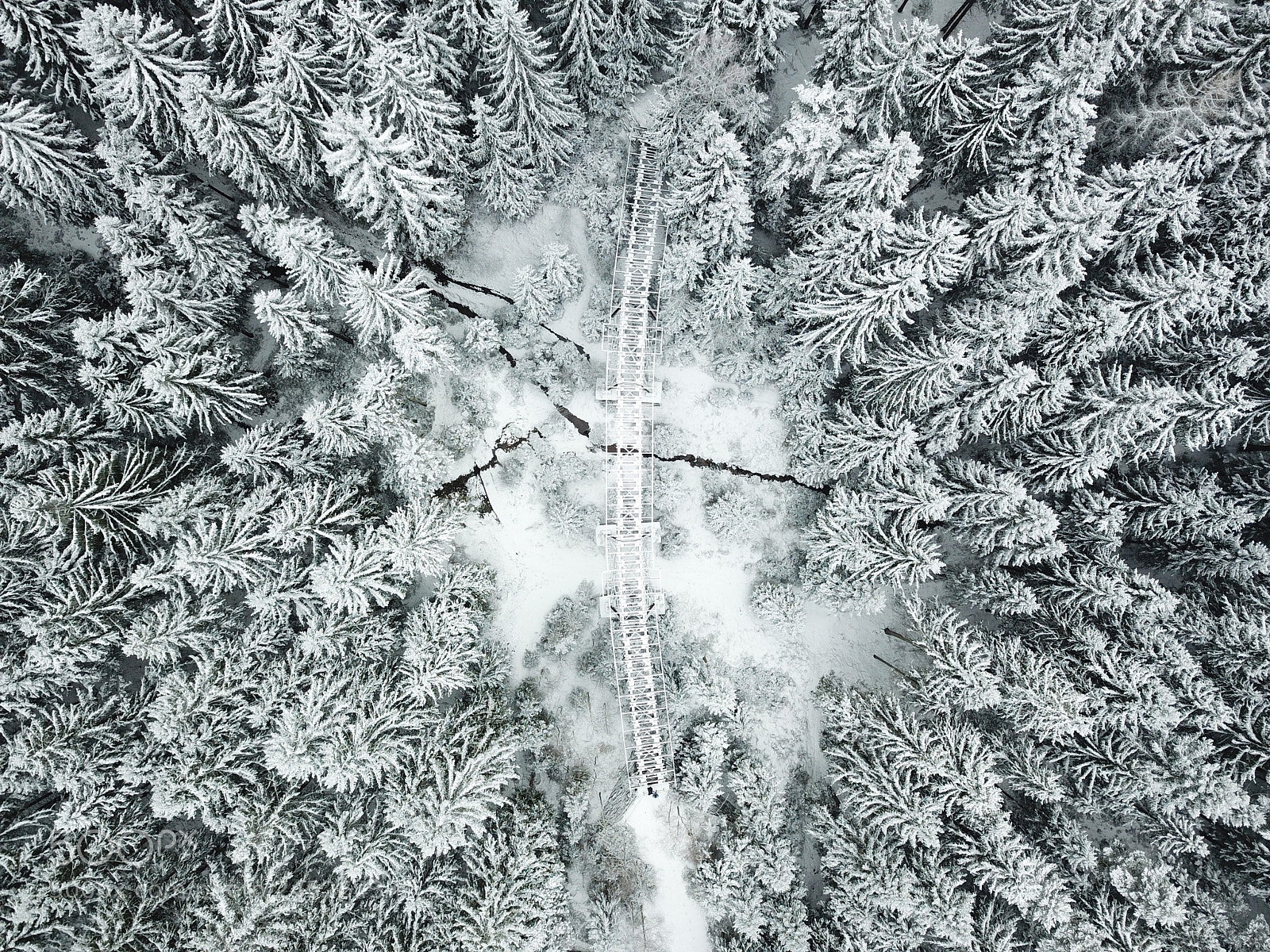 DJI FC220 sample photo. Ore mountain photography