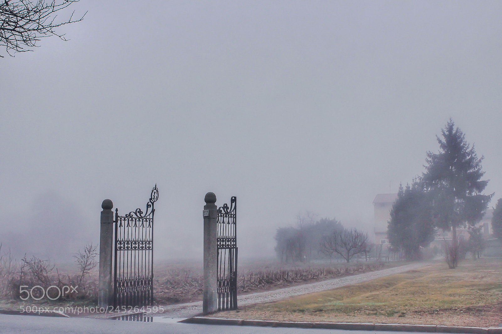 Canon EOS 1200D (EOS Rebel T5 / EOS Kiss X70 / EOS Hi) sample photo. Foggy landscape photography