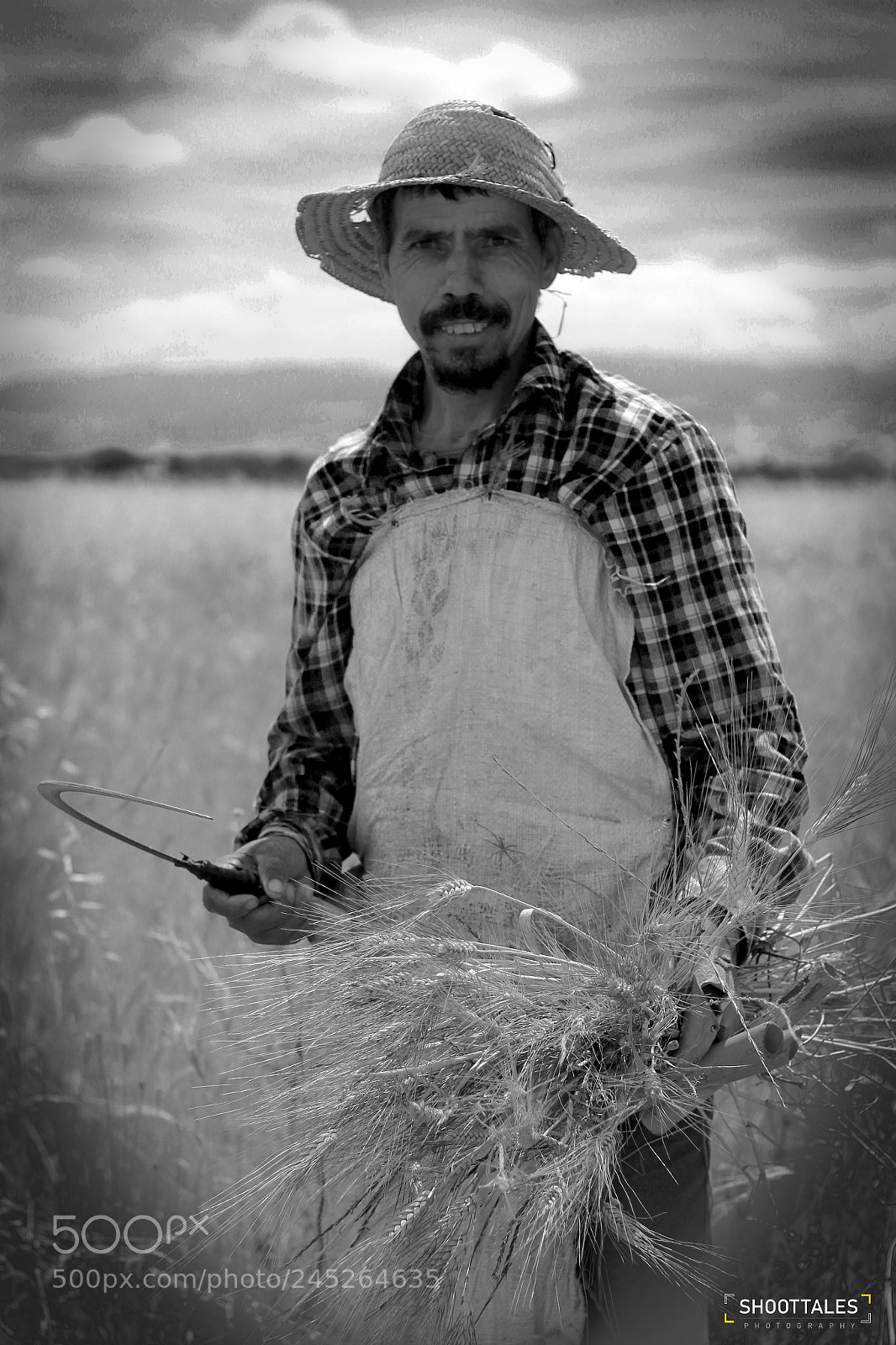 Canon EOS 60D sample photo. الحصاد poor man and happy photography