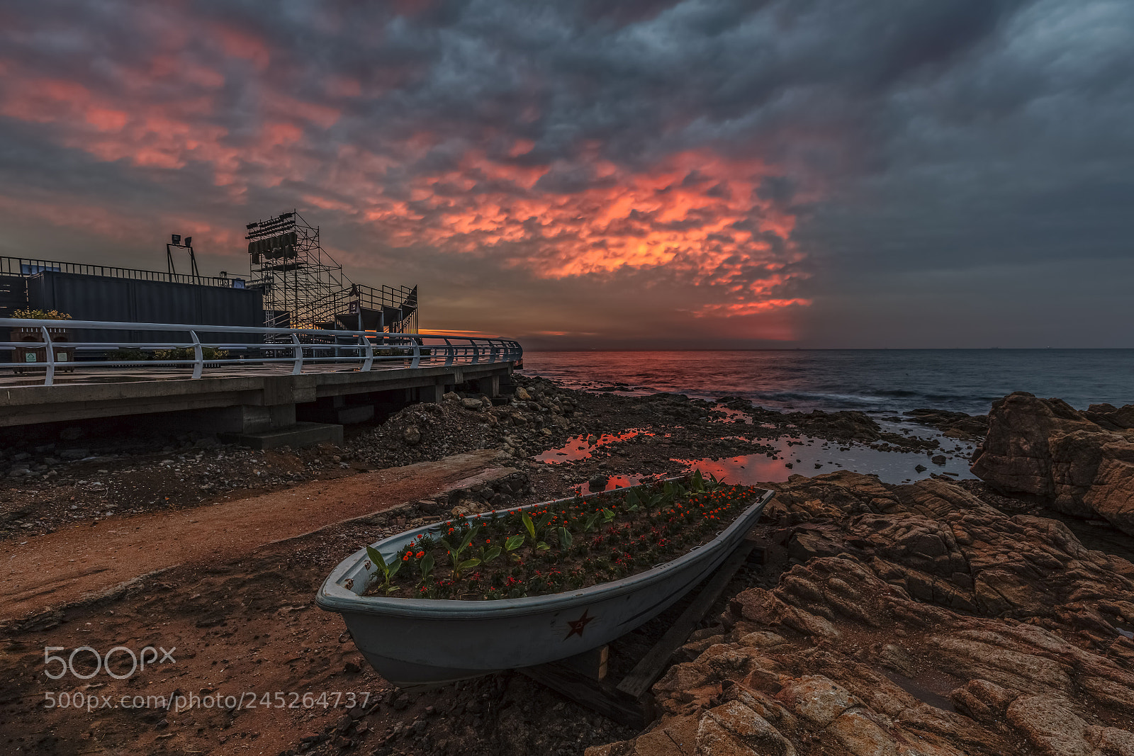 Canon EOS 5DS R sample photo. A tuft of red photography