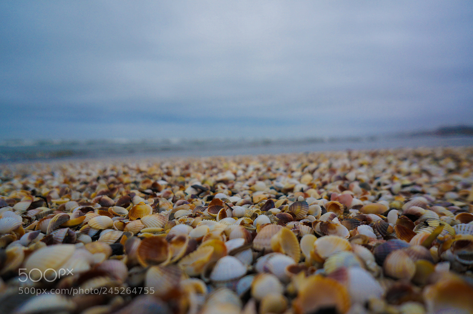Sony Alpha NEX-6 sample photo. Untitled photography