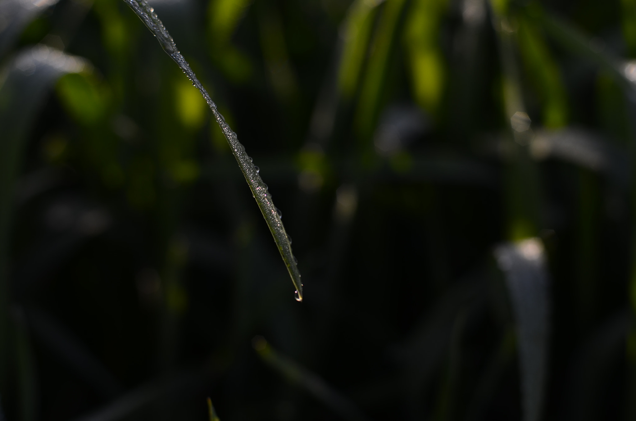 Manual Lens No CPU sample photo. Water train photography