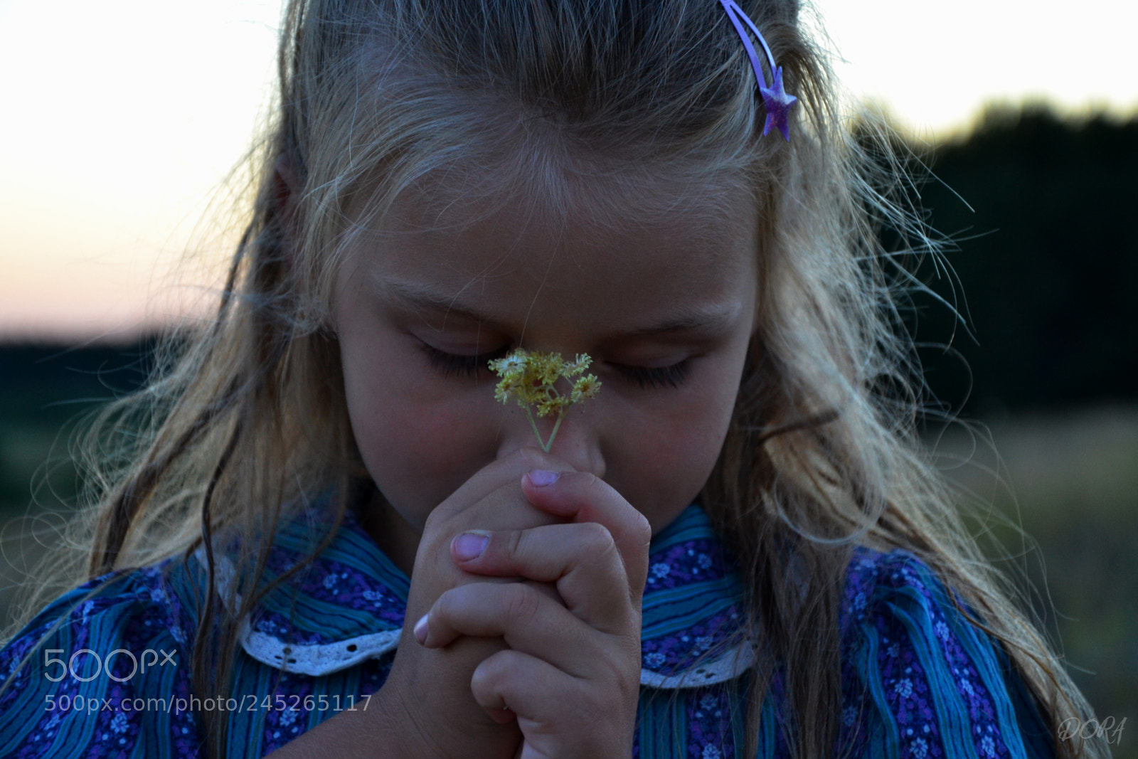 Nikon D3100 sample photo. Olya photography