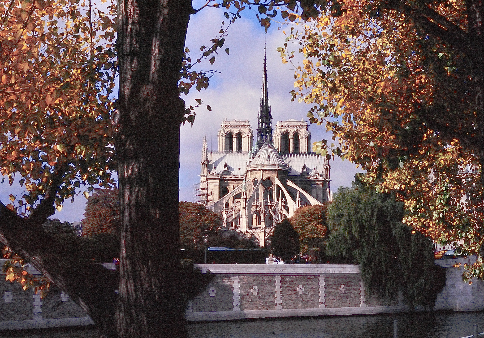 AF Micro-Nikkor 55mm f/2.8 sample photo. Notre dame photography