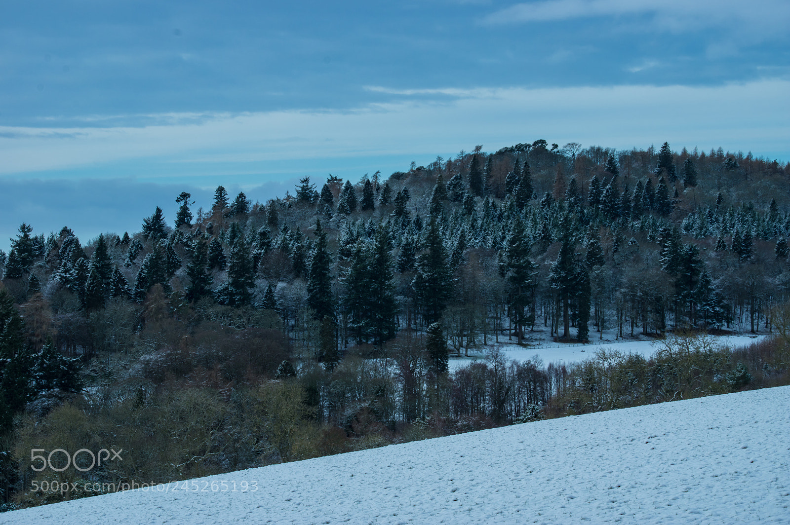 Pentax K-3 sample photo. Knapp hill photography
