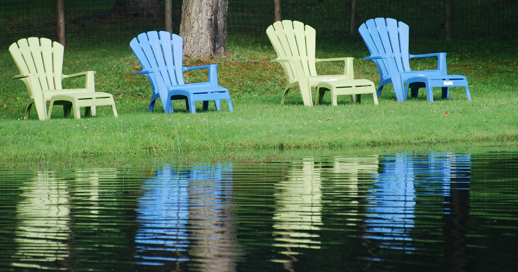 Nikon D80 sample photo. Reflections. driving by saw this stoped on side of ... photography