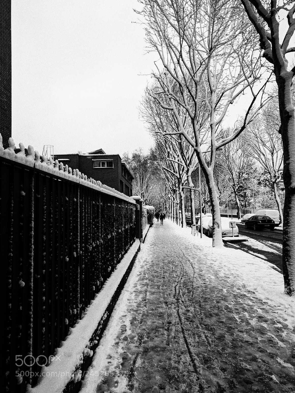 Google Nexus 6P sample photo. Snow in paris photography
