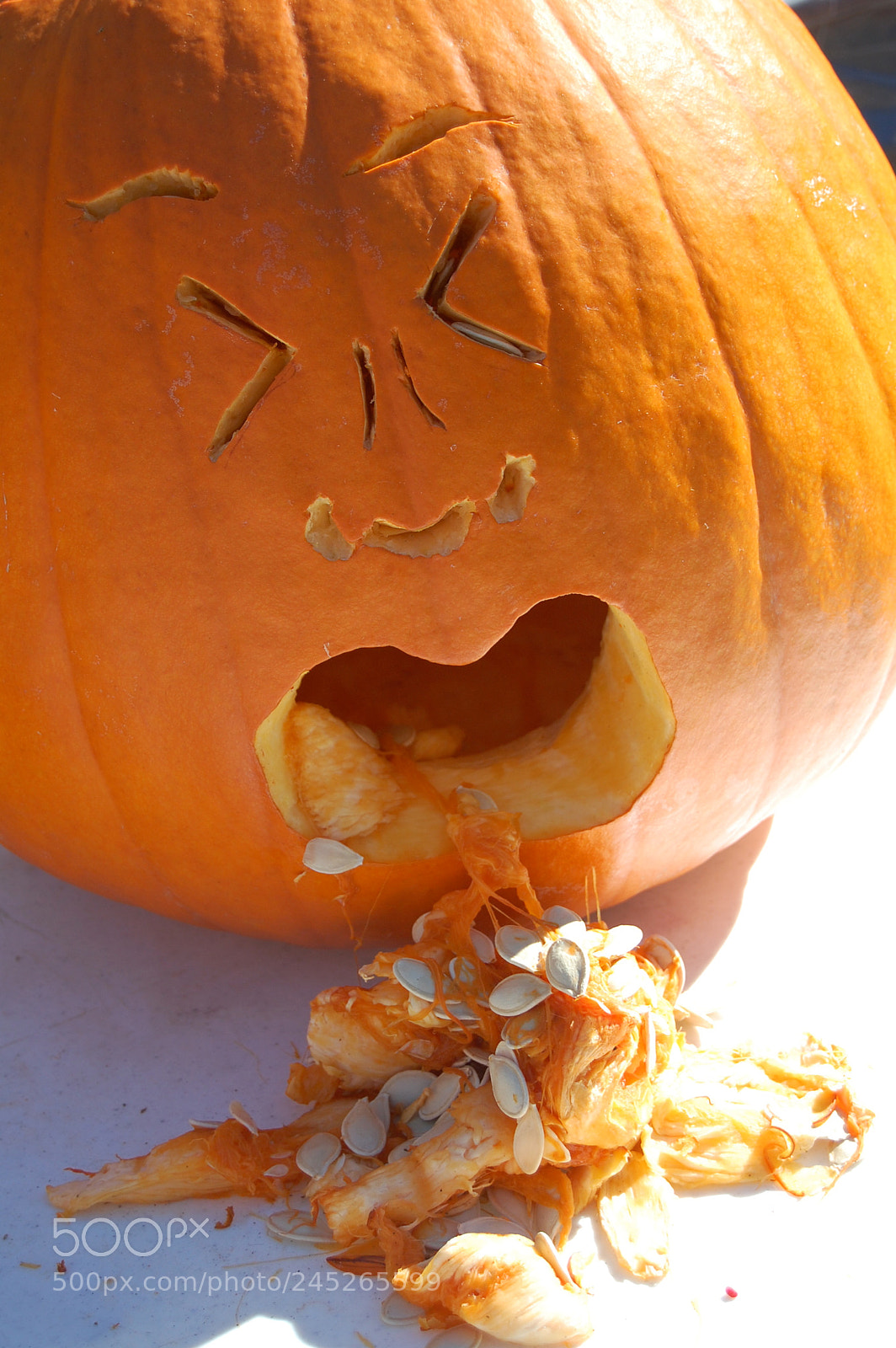 Nikon D40 sample photo. Pumpkin trow up. found photography