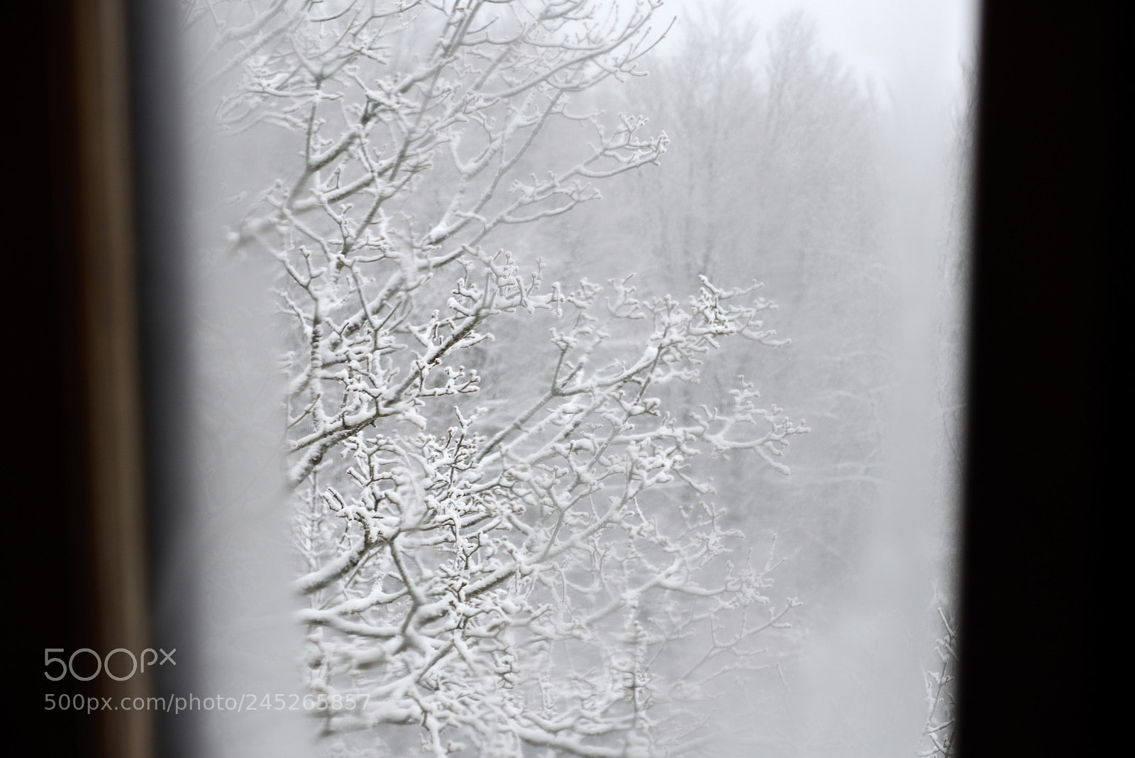 Nikon D800 sample photo. Through the steamy window photography