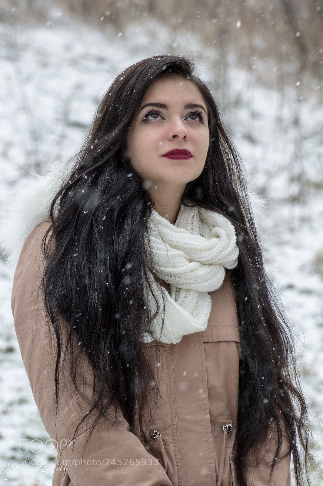Canon EOS 60D sample photo. Winter dream- andreea 1/3 photography