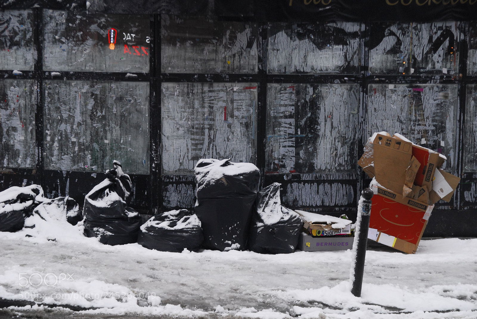 Nikon D200 sample photo. Paris neige/ snow photography