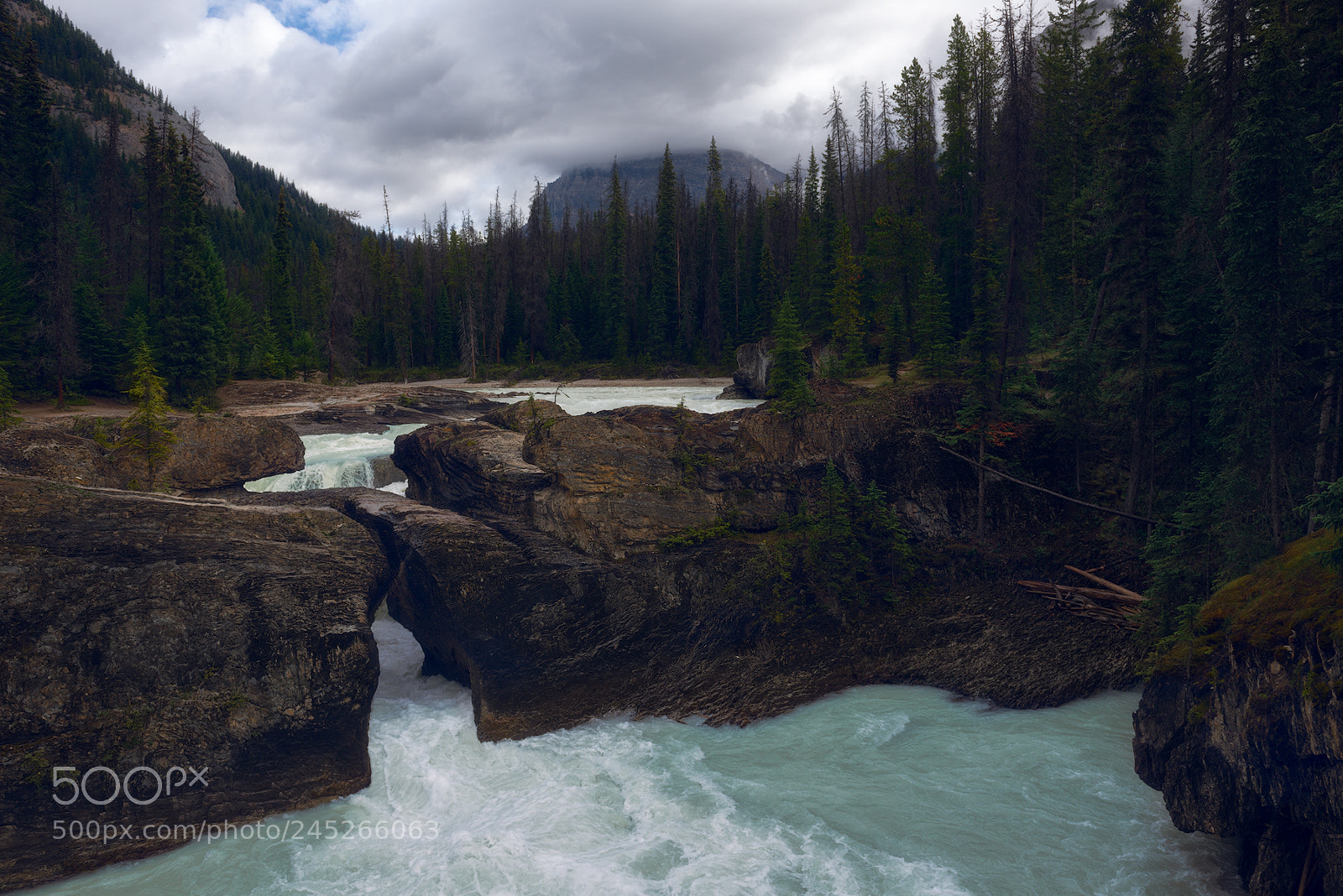Nikon D800 sample photo. Natural bridge photography