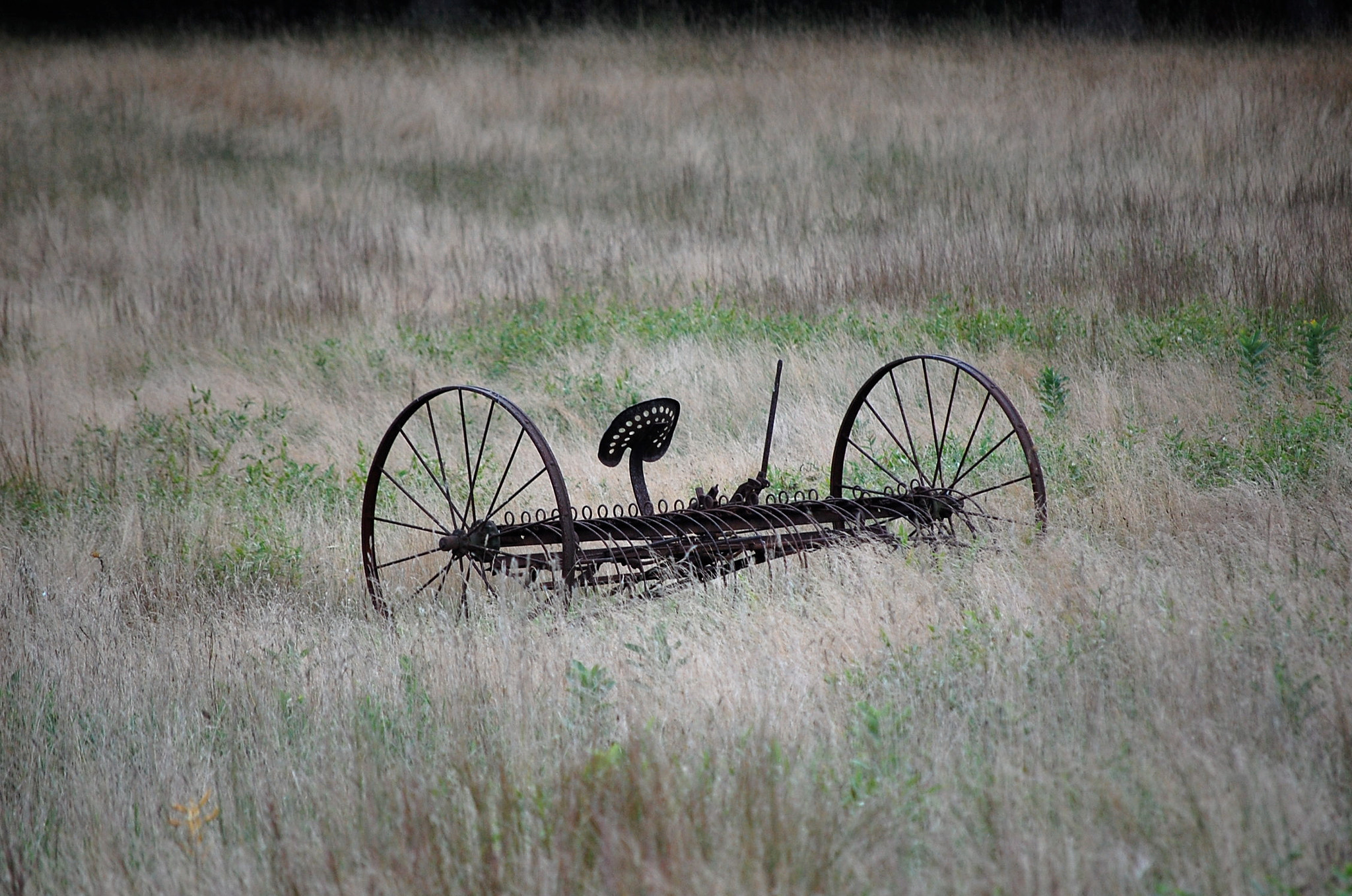 Nikon D40 sample photo. Old wheels. @ ward poundridge reservation,ny. hand held no filters. photography