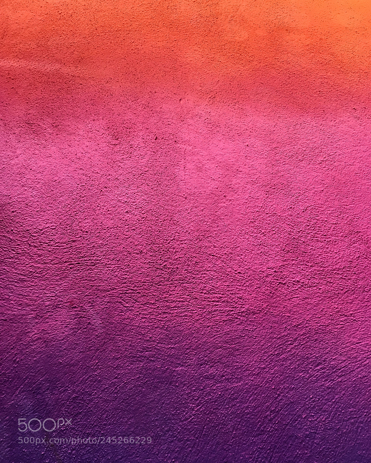 Apple iPhone SE sample photo. Pantone photography