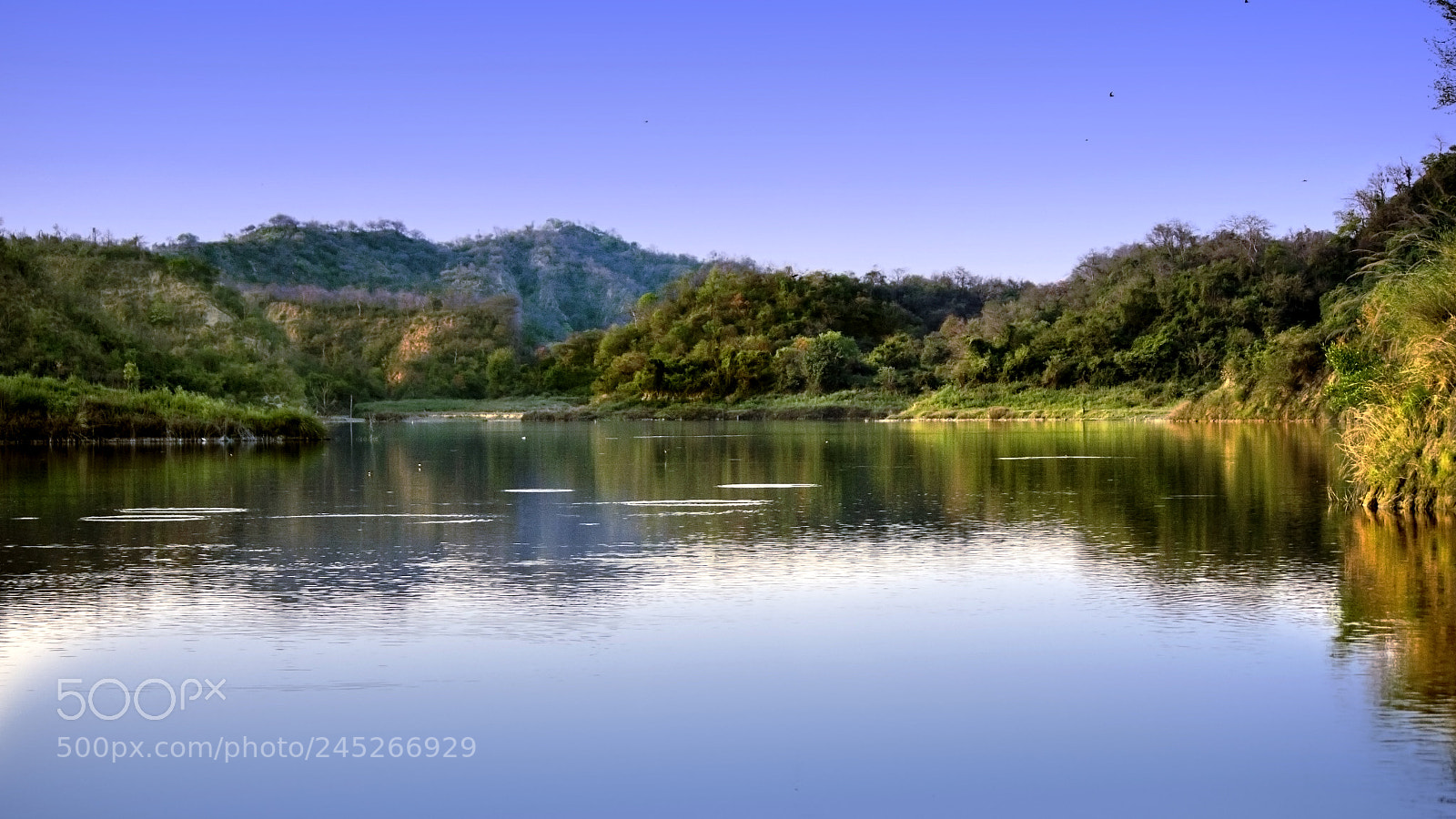 Canon EOS 60D sample photo. Scenic beauty photography