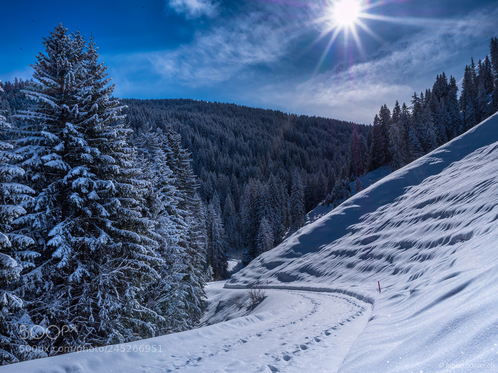 Panasonic Lumix DMC-GX8 sample photo. #winterwonderland photography