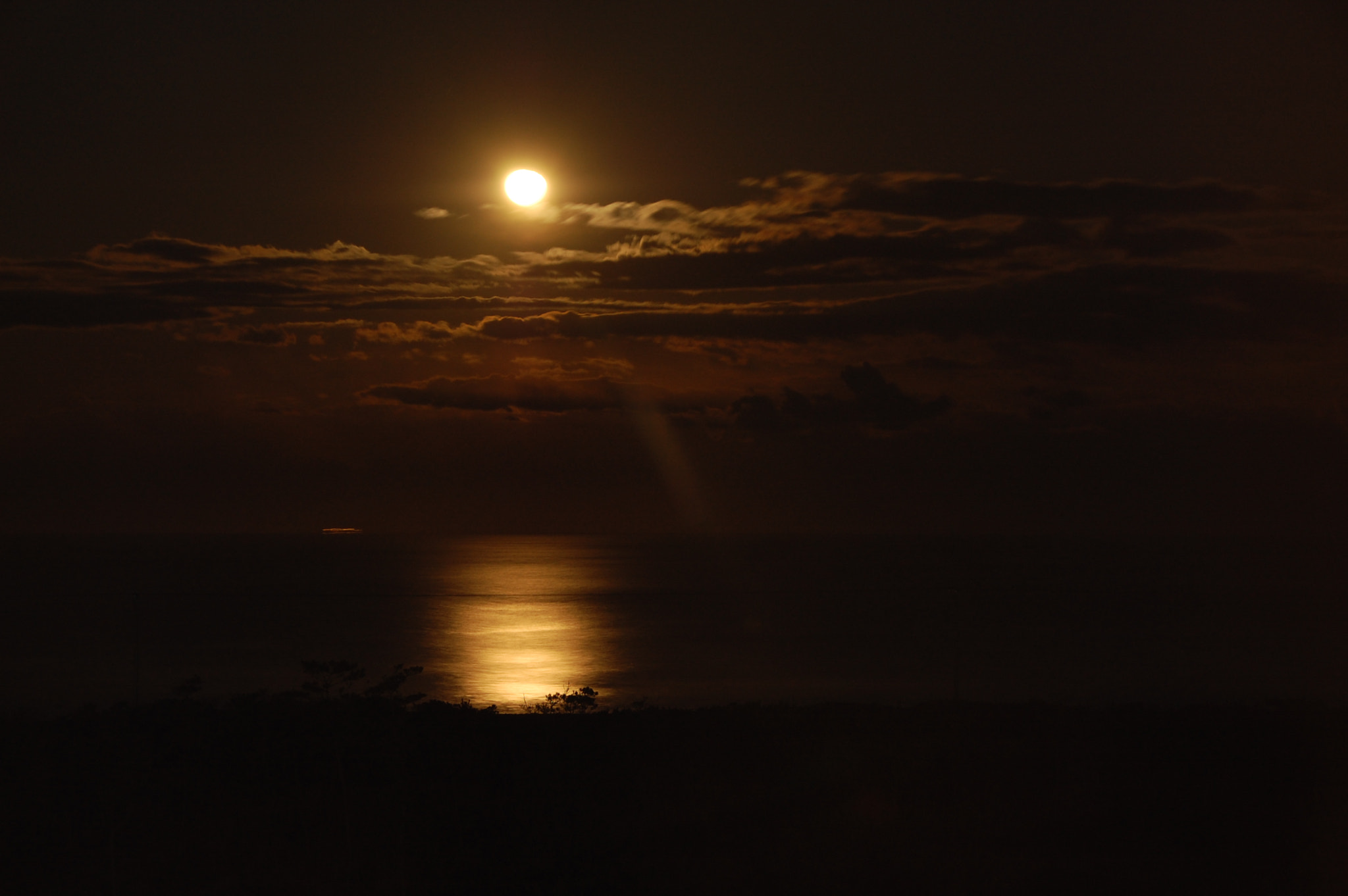 Nikon D40 sample photo. 「moonbeam」 photography