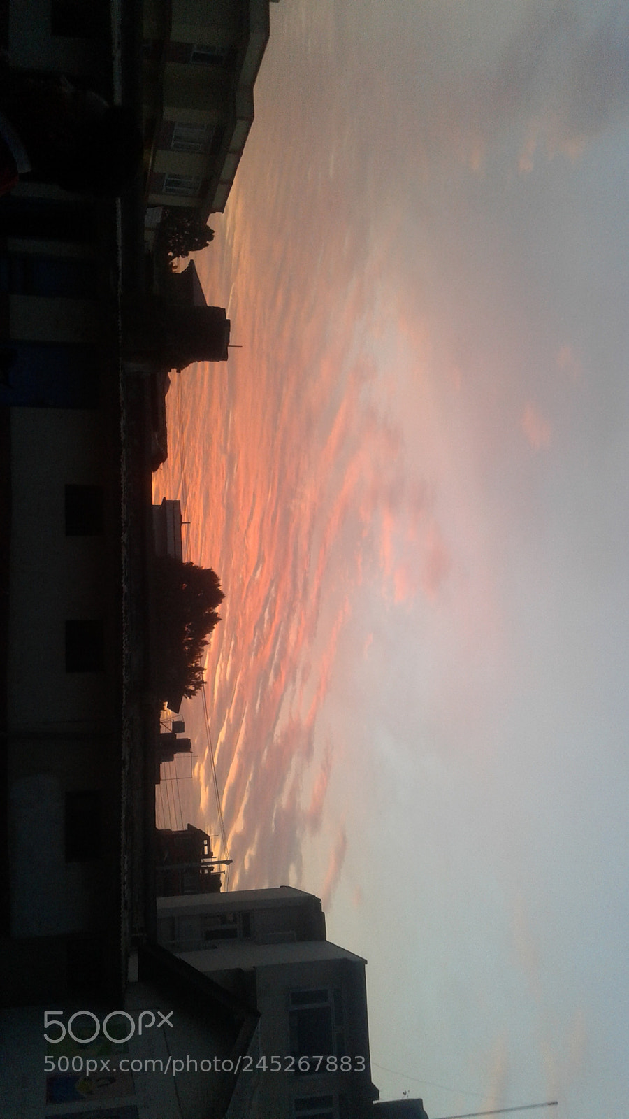 Samsung Galaxy J2 sample photo. Morning photography