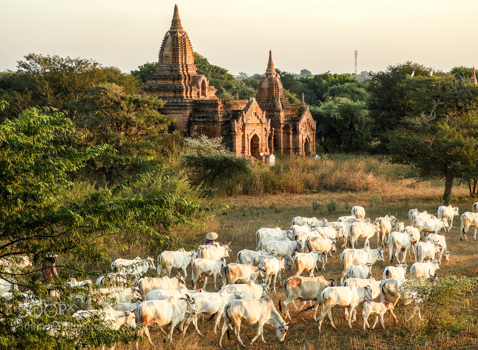 Nikon Coolpix B700 sample photo. Myanmar bagan photography