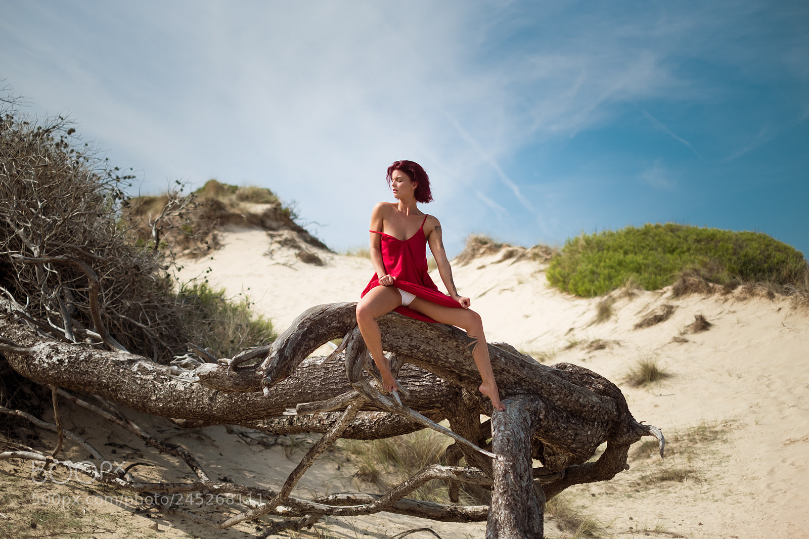 Fujifilm X-T2 sample photo. En las dunas 2 photography