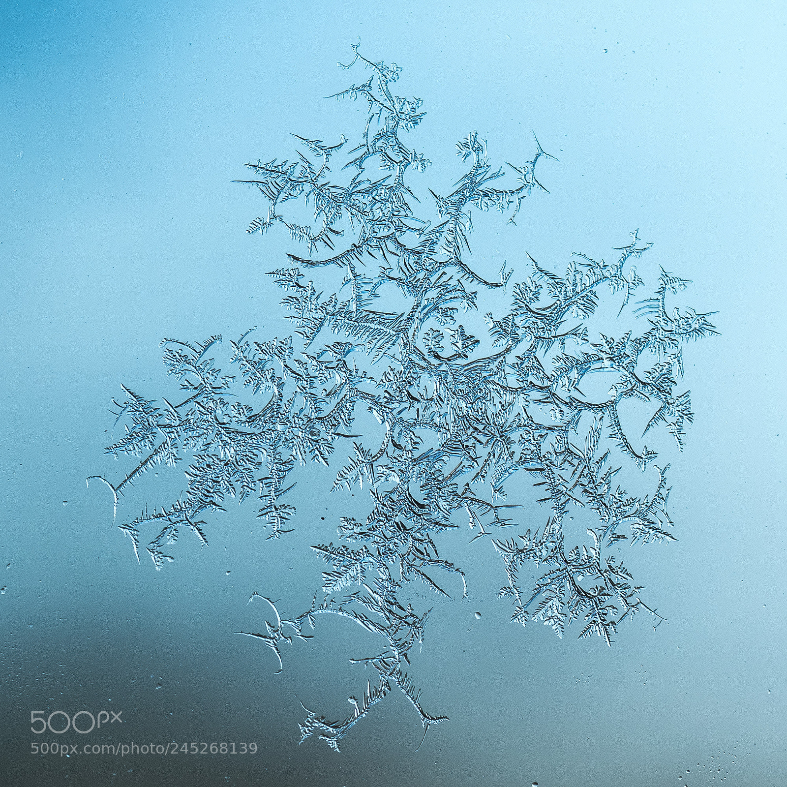 Olympus OM-D E-M5 II sample photo. Ice flake photography