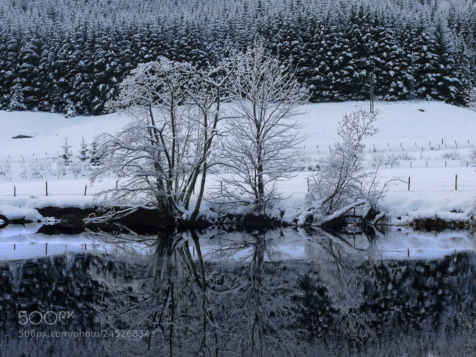 Panasonic Lumix DMC-G1 sample photo. Lubnaig winter photography