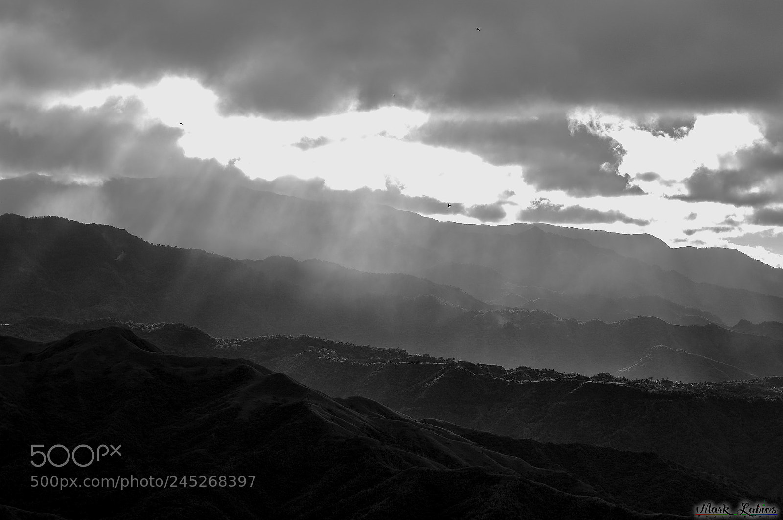Nikon D90 sample photo. Balagblack and white photography