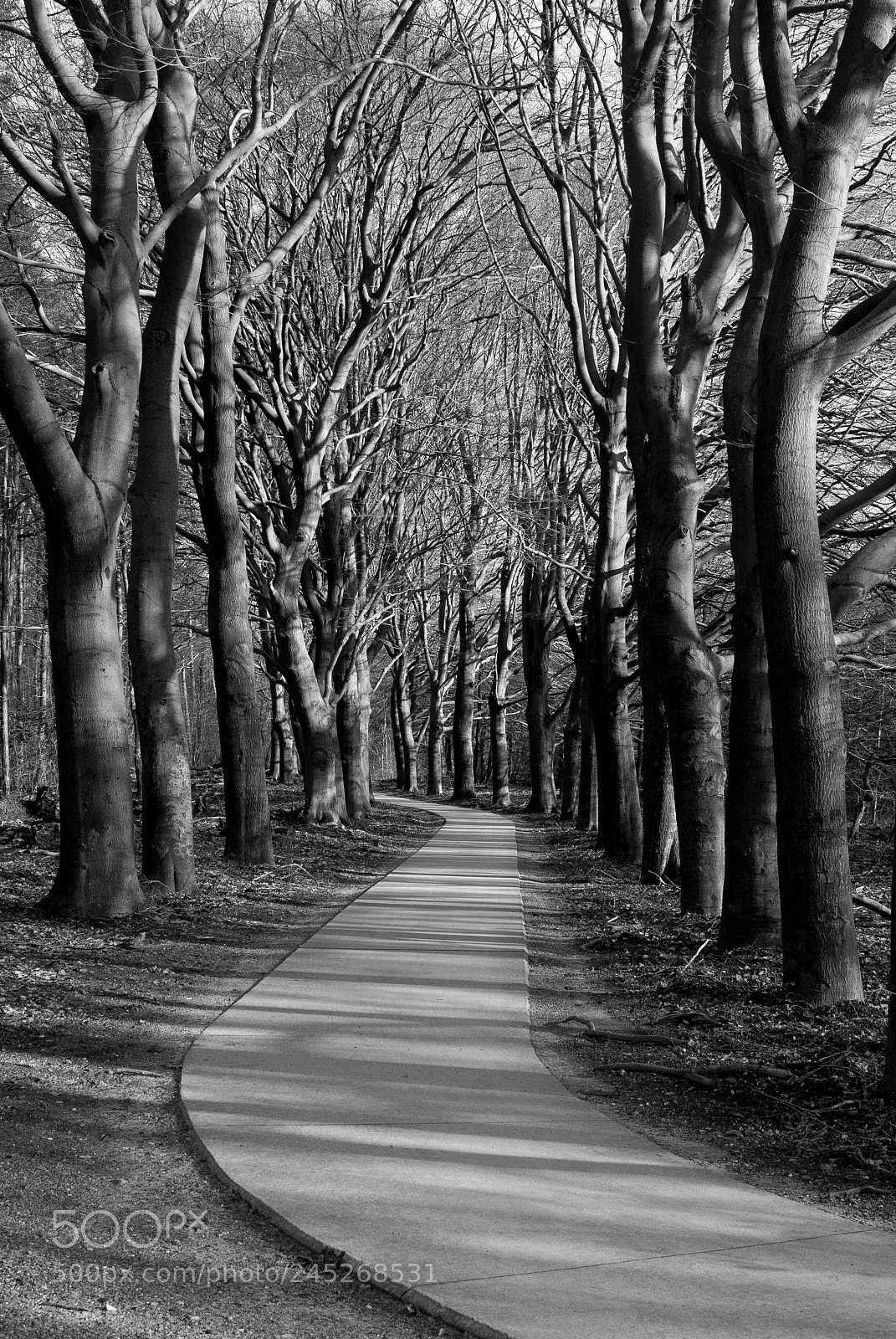 Nikon D200 sample photo. Untitled photography