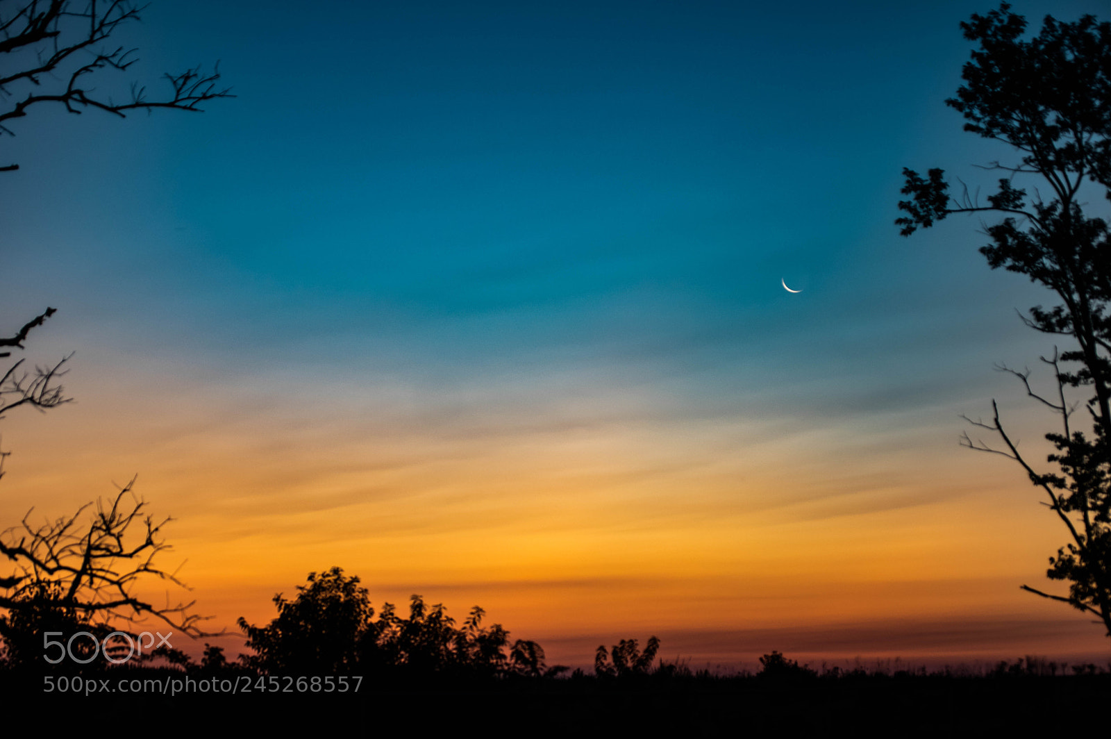 Pentax K-3 II sample photo. Sunrise and moonset photography