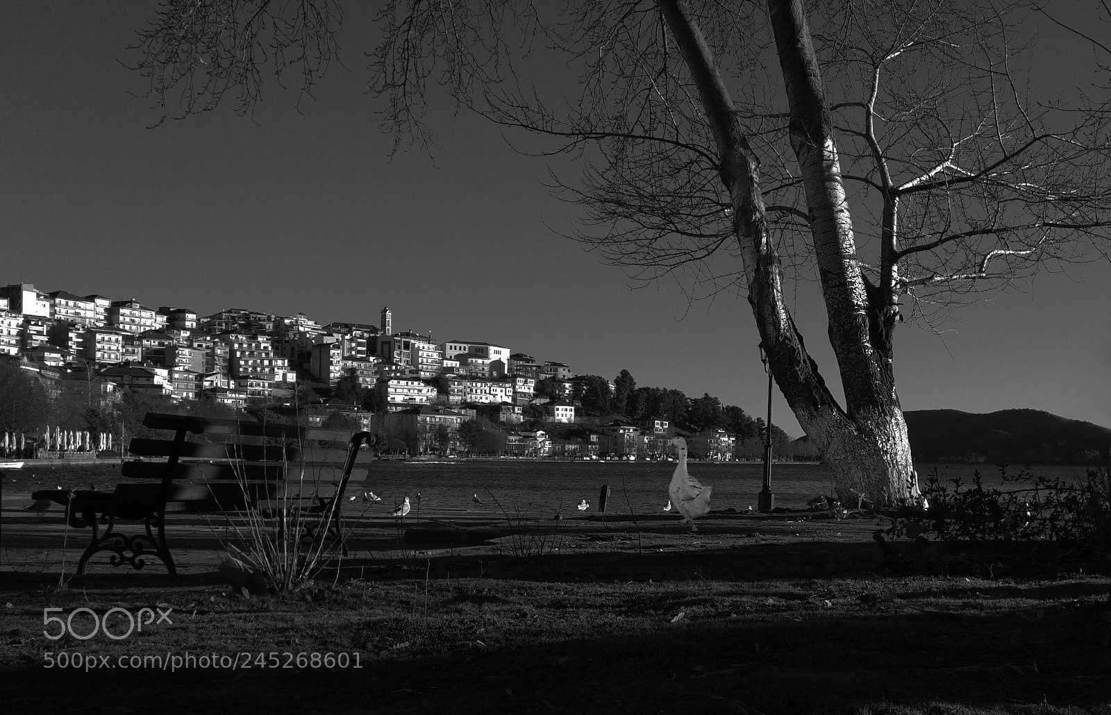 LG G4 sample photo. Black and white photography