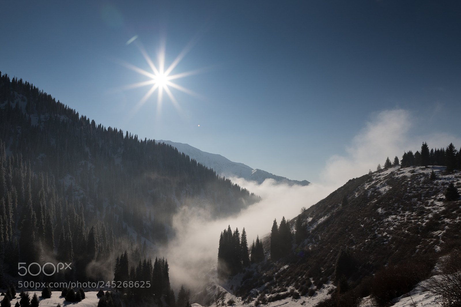 Canon EOS 6D Mark II sample photo. The sun in the photography