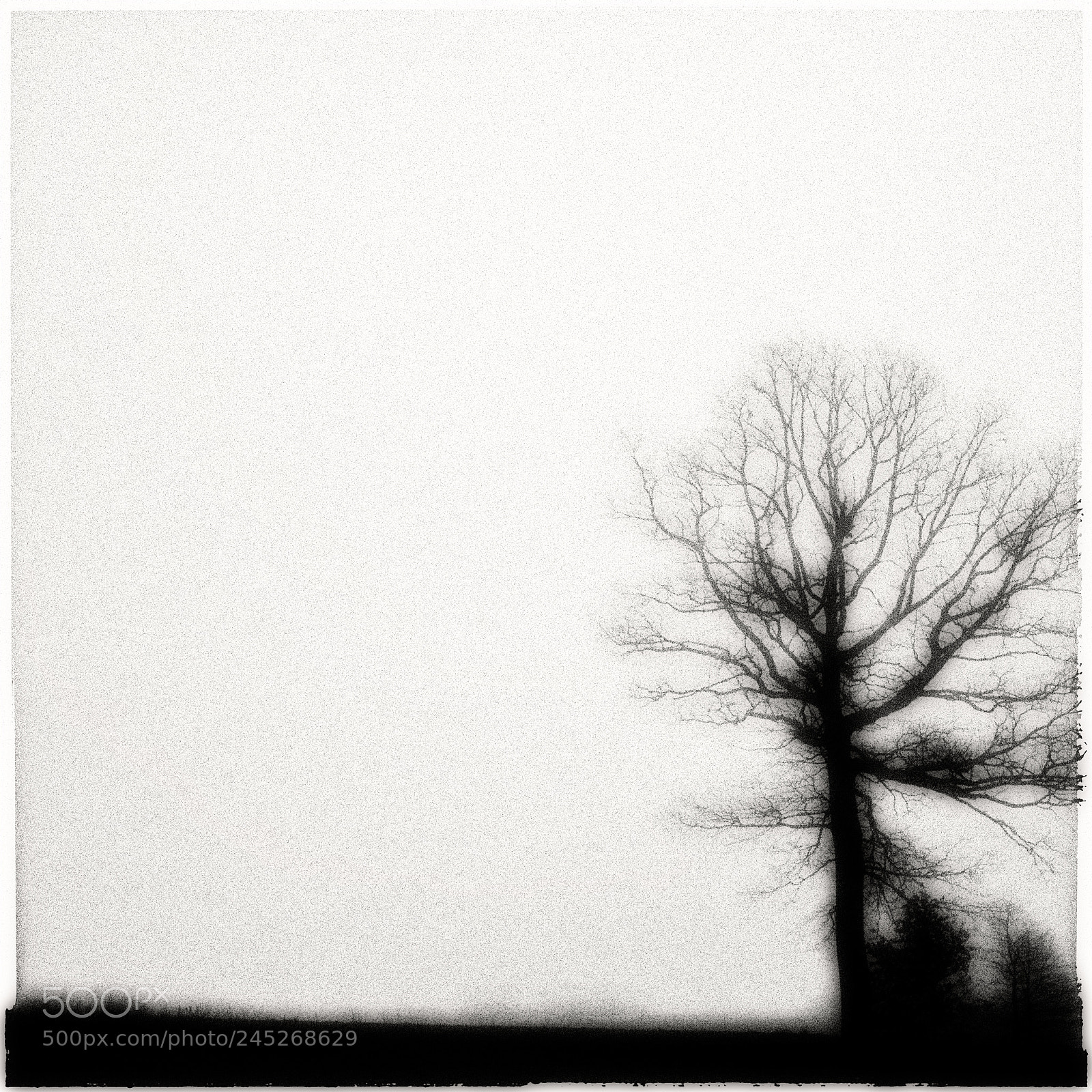 Panasonic Lumix DMC-GF1 sample photo. Pajottenland serie photography