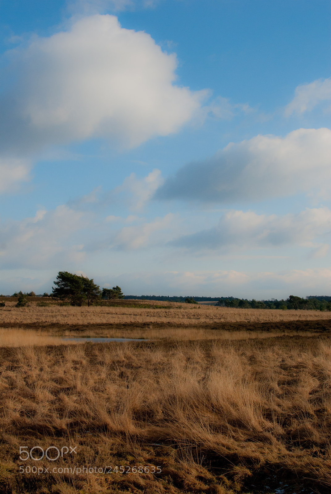 Nikon D200 sample photo. Untitled photography