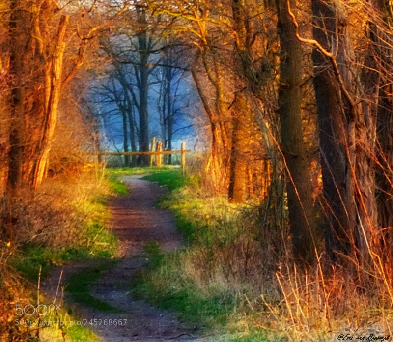 Nikon D3100 sample photo. Huis ter heide photography