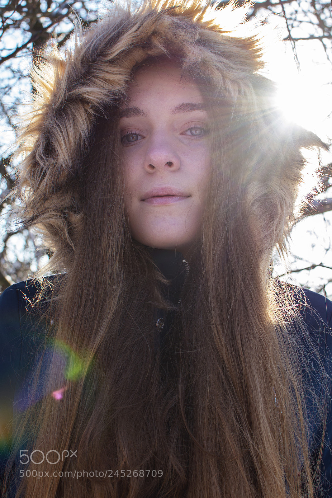 Nikon D610 sample photo. Sun photography