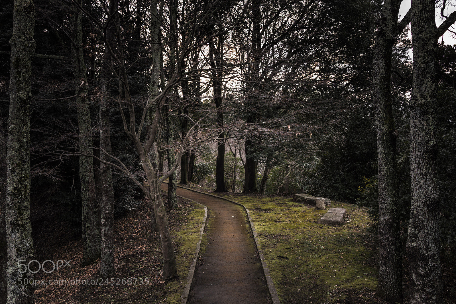 Sony Cyber-shot DSC-RX1R sample photo. Unseen path photography
