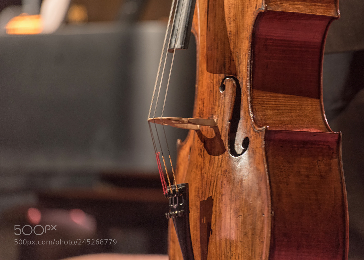 Nikon D810 sample photo. Cello photography