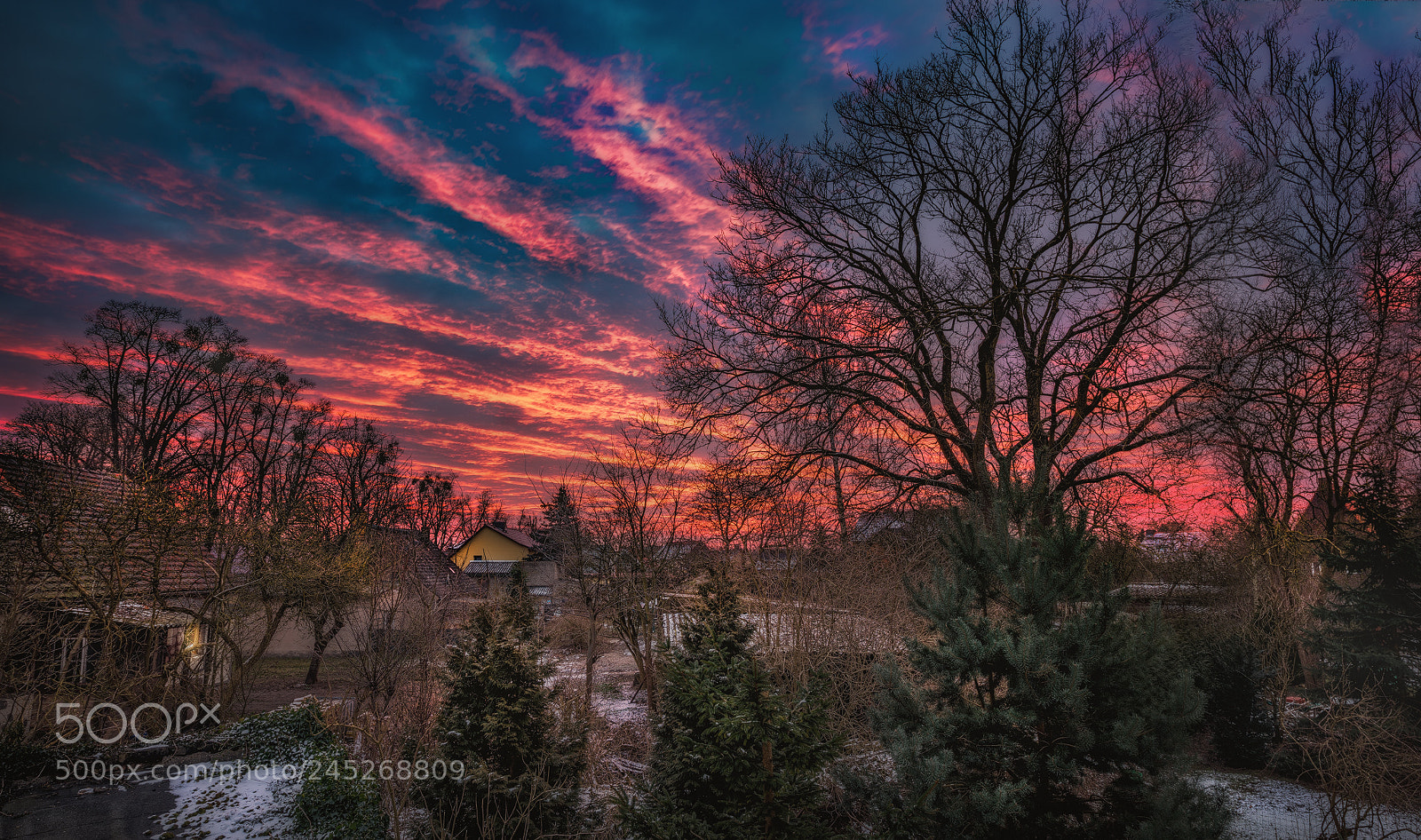 Nikon D810 sample photo. Heute morgen photography