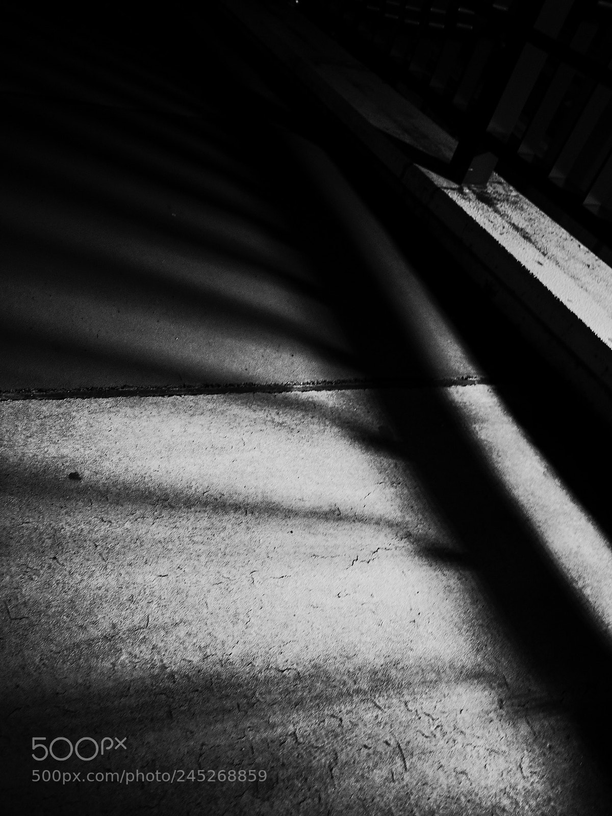 Ricoh GR II sample photo. ‪誰かに踏まれる土になる‬ photography