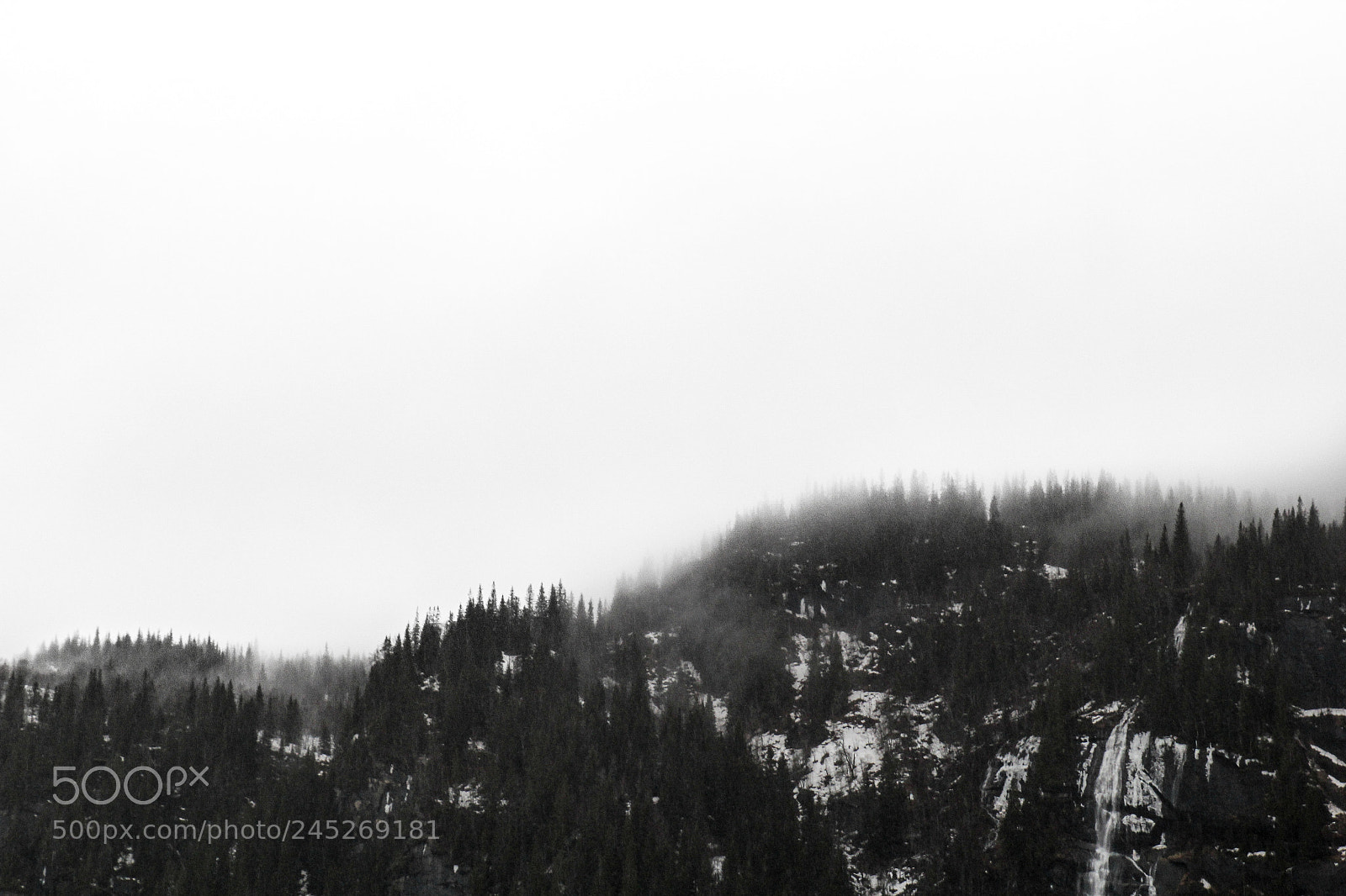 Canon EOS 60D sample photo. Misty morning photography