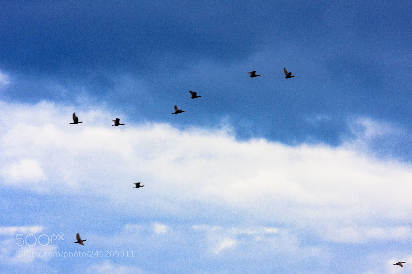 Canon EOS 40D sample photo. Paysages marins photography