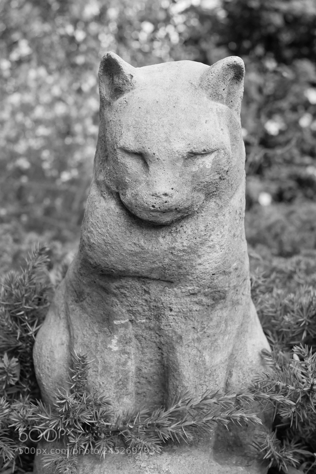 Panasonic Lumix DMC-GX85 (Lumix DMC-GX80 / Lumix DMC-GX7 Mark II) sample photo. Cat statue n&b photography