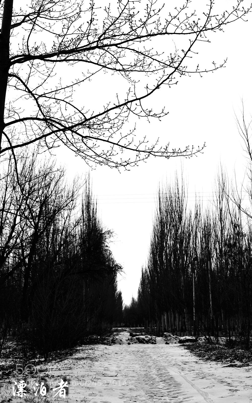 Nikon D610 sample photo. Pano photography